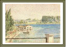 image005.gif (11707 bytes)